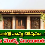 Home Vastu: ఇంట్లో వాస్తు దోషం ఉందా..? అయితే ఆ మొక్కను నాటమంటున్నారు నిపుణులు