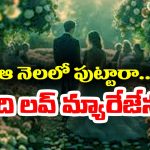 Love Marriages: ఆ నెలలో పుట్టిన వాళ్లకే ఎక్కువ ప్రేమ పెళ్లిళ్లు అవుతాయట