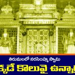 Narasimha Swamy: తిరుమలలో నరసింహ స్వామి ఎక్కడ ఉంటారో తెలుసా..?