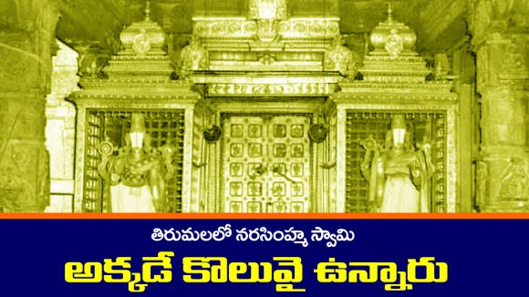 Narasimha Swamy: తిరుమలలో నరసింహ స్వామి ఎక్కడ ఉంటారో తెలుసా..?
