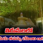 Arjuna – Tirumala: తిరుమలలో అర్జునుడు తపస్సు చేసిన ప్రాంతం ఎక్కడో తెలుసా..? అత్యంత పవిత్ర తీర్థాలలో అది ఒకటి
