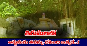 Arjuna – Tirumala: తిరుమలలో అర్జునుడు తపస్సు చేసిన ప్రాంతం ఎక్కడో తెలుసా..? అత్యంత పవిత్ర తీర్థాలలో అది ఒకటి