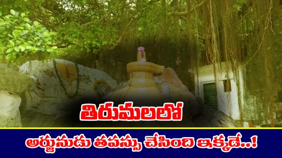 Arjuna – Tirumala: తిరుమలలో అర్జునుడు తపస్సు చేసిన ప్రాంతం ఎక్కడో తెలుసా..? అత్యంత పవిత్ర తీర్థాలలో అది ఒకటి
