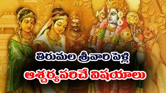 Tirumala Srivari wedding: తిరుమల శ్రీవారి పెళ్లి భోజనాల గురించి ఎవ్వరికీ తెలియని నిజాలు 