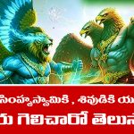 Lord Narasimha – Shiva: నరసింహ్మస్వామితో పరమశివుడు ఎందుకు యుద్ధం చేశాడో తెలుసా..?- ఆ యుద్ధంలో ఎవరు గెలిచారంటే..?