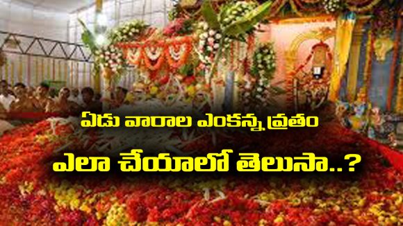 Tirumala Srivari Vratham: తిరుమల శ్రీవారి ఏడు శనివారాల వ్రతం ఏయే రోజుల్లో ప్రారంభించాలో తెలుసా..?