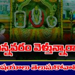Annavaram: అన్నవరం వెళ్తున్నారా..? ఈ విషయాలు తప్పకుండా తెలుసుకోవాల్సిందే