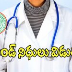Junior Doctors: తెలంగాణ జూనియర్ డాక్టర్లకు గుడ్ న్యూస్.. నిధులు విడుదల..!