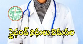 Junior Doctors: తెలంగాణ జూనియర్ డాక్టర్లకు గుడ్ న్యూస్.. నిధులు విడుదల..!