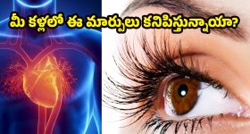 Heart Disease: కంటి పరీక్షలతోనే హార్ట్ ఎటాక్ ముప్పును పసిగట్టవచ్చు! అదెలాగంటే ?