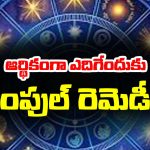 Financial Remedies: గ్రహ బాధలు పట్టి పీడిస్తున్నాయా..? ఆర్థికంగా చితికి పోయారా..? ఈ రెమెడీస్ పాటిస్తే కోట్లు కొల్లగొడతారట