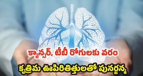 Artificial Lung System: వైద్య రంగంలో అద్భుతం.. ఊపిరితిత్తులు లేకుండానే రెండు రోజుల పాటు ప్రాణాలతో!
