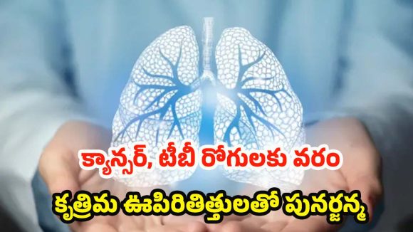 Artificial Lung System: వైద్య రంగంలో అద్భుతం.. ఊపిరితిత్తులు లేకుండానే రెండు రోజుల పాటు ప్రాణాలతో!