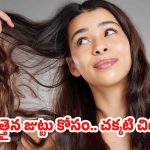 Hair Growth Tips: జుట్టు పలచబడిందా ? ఒత్తుగా మార్చే సీక్రెట్స్ టిప్స్ ఇవే !