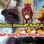 Maha Shivratri 2026: మహాశివరాత్రి రోజు రుద్రాభిషేకం ఎప్పుడు చేయాలి ? పూర్తి వివరాలు మీకోసం