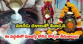 Maha Shivratri 2026: మహాశివరాత్రి రోజు రుద్రాభిషేకం ఎప్పుడు చేయాలి ? పూర్తి వివరాలు మీకోసం