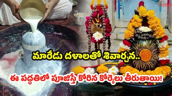 Maha Shivratri 2026: మహాశివరాత్రి రోజు రుద్రాభిషేకం ఎప్పుడు చేయాలి ? పూర్తి వివరాలు మీకోసం