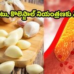 Garlic: ఉదయాన్నే వెల్లుల్లి తింటే.. కొలెస్ట్రాల్ తగ్గుతుందా? సైన్స్ ఏమంటోంది?