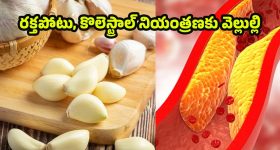 Garlic: ఉదయాన్నే వెల్లుల్లి తింటే.. కొలెస్ట్రాల్ తగ్గుతుందా? సైన్స్ ఏమంటోంది?