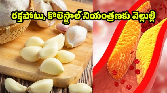 Garlic: ఉదయాన్నే వెల్లుల్లి తింటే.. కొలెస్ట్రాల్ తగ్గుతుందా? సైన్స్ ఏమంటోంది?