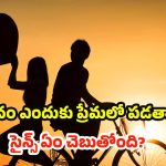 Love: మనం ఎందుకు ప్రేమలో పడతాం? సైన్స్ వెనక ఉన్న అసలు ‘స్కెచ్’ ఇదే!