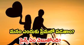 Mahindra Batman Edition: వామ్మో ఇదెక్కడి క్రేజ్ భయ్యా, 135 సెకెన్లలో కార్లన్నీ కొనేశారు!