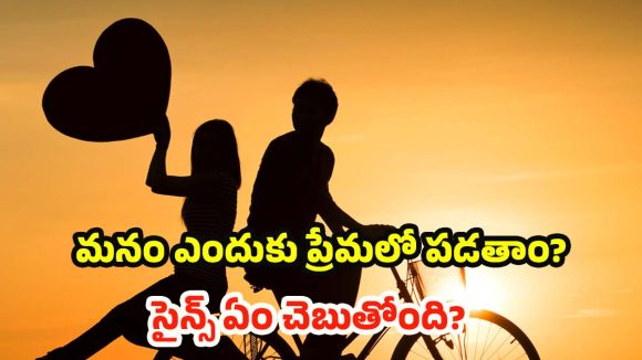 Love: మనం ఎందుకు ప్రేమలో పడతాం? సైన్స్ వెనక ఉన్న అసలు ‘స్కెచ్’ ఇదే!