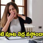 Afternoon Sleep: మధ్యాహ్నం నిద్ర ముంచుకొస్తుందా? ఈ విటమిన్ లోపమే కారణం కావచ్చు!