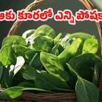 Leafy Vegetables: ప్రోటీన్ కోసం నాన్ వెజ్ అక్కర్లేదు.. ఈ 7 ఆకుకూరలు చాలు!