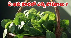 Panasonic New ACs: కొత్త ఏసీ కావాలా? పానాసోనిక్ నుంచి అడ్వాన్స్డ్ ఏసీలు.. 57 రకాల మోడళ్లలో..!