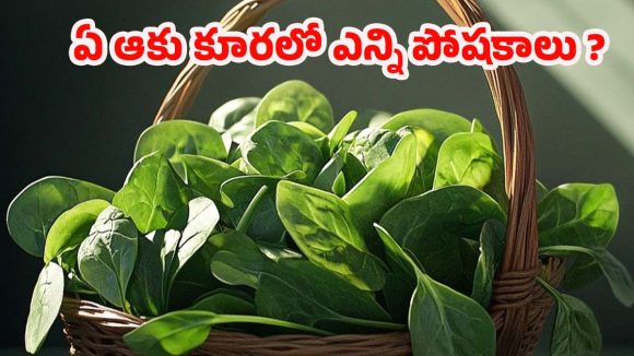 Leafy Vegetables: ప్రోటీన్ కోసం నాన్ వెజ్ అక్కర్లేదు.. ఈ 7 ఆకుకూరలు చాలు!