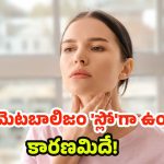 Thyroid: థైరాయిడ్ Vs వెయిట్ లాస్.. ప్రతీ ఒక్కరూ తెలుసుకోవాల్సిన వాస్తవాలు