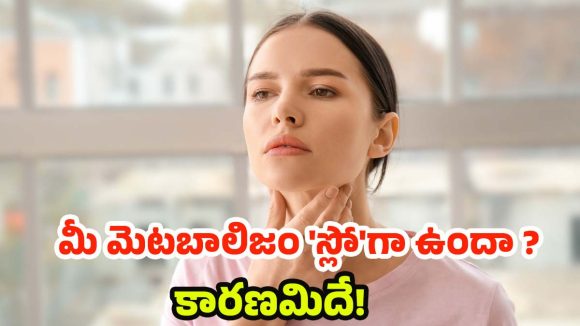 Thyroid: థైరాయిడ్ Vs వెయిట్ లాస్.. ప్రతీ ఒక్కరూ తెలుసుకోవాల్సిన వాస్తవాలు
