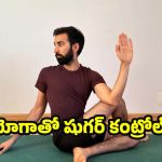 Yoga For Diabetes: గుడ్ బై డయాబెటిస్..డైలీ 20 నిమిషాల యోగాతో షుగర్ వ్యాధికి చెక్ పెట్టండి!