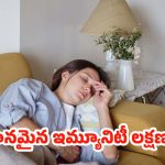 Low Immunity: మీ బాడీలో రోగ నిరోధక శక్తిని దృఢంగా మార్చుకోండిలా..