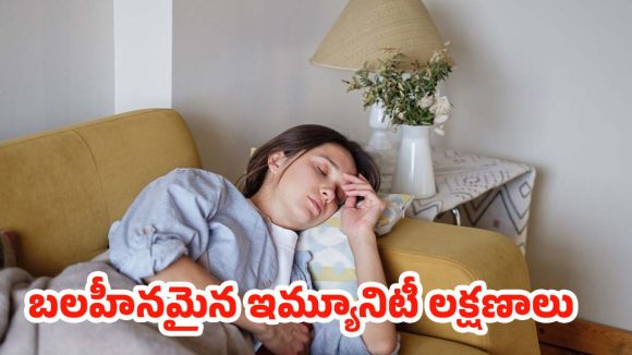 Low Immunity: మీ బాడీలో రోగ నిరోధక శక్తిని దృఢంగా మార్చుకోండిలా..