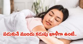 Dinner: రాత్రిపూట ఆకలితో పడుకోవాలా ? డైటీషియన్లు చెబుతున్న షాకింగ్ నిజాలు!