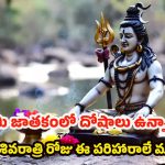 Maha Shivaratri 2026:  గ్రహ దోషాలు తొలగి రాజయోగం పట్టాలంటే.. శివరాత్రి రోజు ఇలా చేయండి