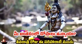 Maha Shivaratri 2026:  గ్రహ దోషాలు తొలగి రాజయోగం పట్టాలంటే.. శివరాత్రి రోజు ఇలా చేయండి