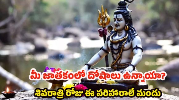 Maha Shivaratri 2026:  గ్రహ దోషాలు తొలగి రాజయోగం పట్టాలంటే.. శివరాత్రి రోజు ఇలా చేయండి