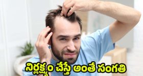 Hair Fall: బట్టతల రాకూడదా? ఇలా జరిగితే అప్రమత్తం అవ్వండి