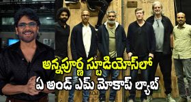 Samantha: ఒక్కరోజు కూడా నా భర్తను వదలలేను.. అన్నీ కలిసే చేస్తాము.. సమంత కీలక వ్యాఖ్యలు..