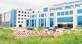 AIIMS Recruitment: సొంత రాష్ట్రంలో ఉద్యోగం.. మంచి వేతనం, ఎయిమ్స్ బీబీనగర్‌లో ఉద్యోగాలు