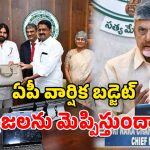 AP Budget 2026: కాసేపట్లో ఏపీ వార్షిక బడ్జెట్.. కనకదుర్గమ్మ చెంతకు ప్రతులు.. రాష్ట్ర కేబినేట్ కీలక భేటి