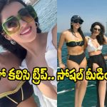 Actress Anshu: ఫ్రెండ్స్‌తో కలిసి నాగార్జున హీరోయిన్ అందాల విందు.. ఫొటోలు వైరల్!