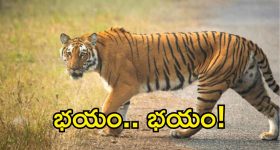 Arava Sridhar-Veena:  అరవ శ్రీధర్-వీణా వ్యవహారం.. మధ్యలోకి మూడో వ్యక్తి ఎవరు? వీడియోలో కీలక విషయాలు