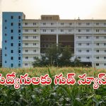 APCRDA Jobs: ఏపీ నిరుద్యోగులకు గుడ్ న్యూస్.. అమరావతిలో ఉద్యోగాలు.. ఈ అర్హత ఉంటే చాలు