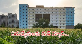 APCRDA Jobs: ఏపీ నిరుద్యోగులకు గుడ్ న్యూస్.. అమరావతిలో ఉద్యోగాలు.. ఈ అర్హత ఉంటే చాలు