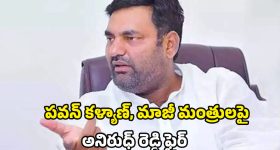 Anirudh Reddy: పవన్ డ్రామాలు.. మాజీ మంత్రుల కబ్జాలు.. విరుచుకుపడ్డ ఎమ్మెల్యే అనిరుధ్ రెడ్డి