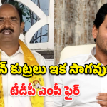 Appalanaidu On Jagan: జగన్ కుట్రలు బట్టబయలు చేసిన టీడీపీ ఎంపీ! లడ్డూ కల్తీ నుంచి హెరిటేజ్ అటాక్ వరకు.. అసలు నిజాలివే!